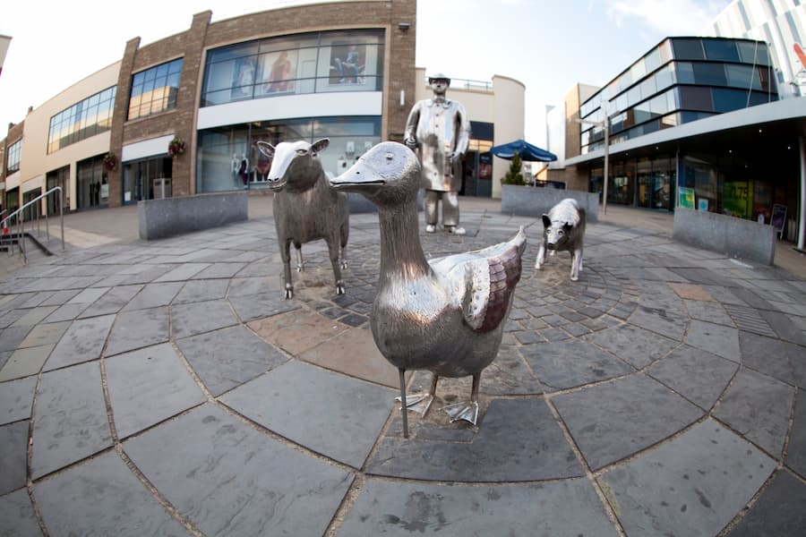 Farm statues in Carmarthen town